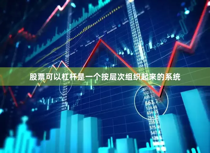 股票可以杠杆是一个按层次组织起来的系统